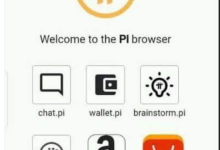 您期待 Pi Network 的#Web3生态系统吗?_派想网