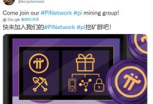 BSC高级工程师:快来加入我们的#PiNetwork #pi挖矿群吧!_派想网