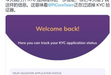 这句话是对的,Pi 是全球货币_派想网