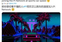 美国Pi社区??进行了大规模的易货交易_派想网