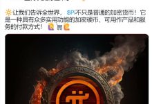 注意!不要让你的宝贝被骗走了!_派想网