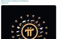 深度:博士,2023年,普通人可以在主网做什么!_派想网