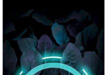 深度:博士,2023年,全球数百家交易所迫不及待希望我们主网!_派想网