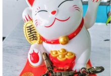 如果今年#PiNetwork开启主网,牛市将随之而来_派想网