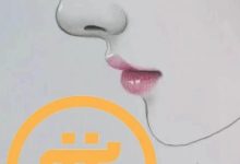 尼古拉斯发布没有过KVC的3个原因,先锋按照操作去完成_派想网