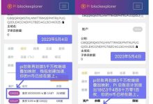 最新！pi总账再划拨5千万枚继续叠加映射_派想网