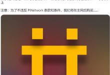 Pi Network目前正在准备启动其主网_派想网