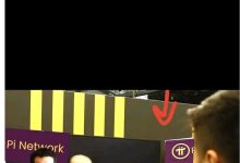 必读：博士，5月！国内会有一半的人进行实名认证，全球3000万！_派想网