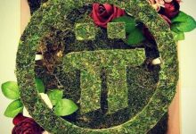 必读：博士，关于2023年主网的10个好消息！速看！_派想网