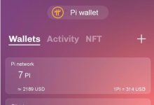 若一Pi=314美金?你的第一反应是什么?!_派想网