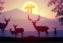 Pi浏览器Pi Browser 1.7.0官方最新版下载地址_派想网
