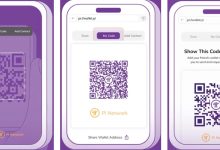 新的二维码功能简化了 Pi 钱包中的交易_派想网