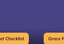 已定，下个月开网！_派想网