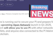 老尼再次明确了主网日期！不是大家传言的2月、3月，而是在主网宽限期内启动！_派想网