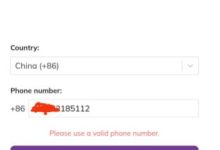 都开网了，你的手机号无效了？_派想网