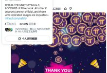 官宣!Pi Network 现在在 X 上拥有超过 400 万粉丝_派想网