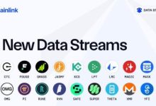 尼博士Web3最新公告:主网5月28日明确了!老四宣布清单8绿9黄的,全部可以在4月至6月30日迁移主网_派想网
