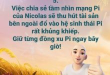 主网新调整!点闪后弹出这个页面,千万不要点击蓝色接受按钮,否则将推迟9绿主网迁移!_派想网