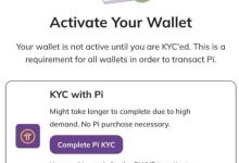 主网钱包全面激活,Pi Network迈出生态化关键一步_派想网