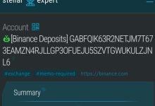 币安正在测试 Pi Network 钱包?_派想网