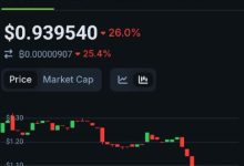 高抛低吸不是投机,而是一种积累智慧 —— Pi Network早期参与者的交易哲学_派想网