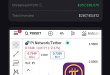 #PiNetwork不应该在您的政府投资组合中缺失_派想网