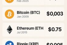 从比特币0.003美元到Pi币2.1美元,我们真的走进了加密未来,还是倒退回了庞氏幻想?_派想网