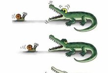 Pi：从“蜗牛速度”到价值困境——社区信任与发展路径的再思考_派想网