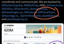 Pi Core Team被质疑将资金投入个人偏好项目,社区信任正遭遇危机?_派想网