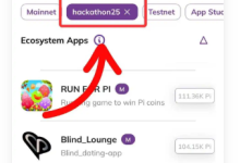 2025年Pi黑客马拉松获奖者公布_派想网