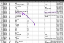 2026年：Pi Network的愿景清晰明确，而事实令人震惊_派想网