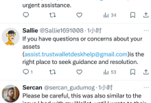 Pi Network 用户紧急提醒：官方升级期间钓鱼账号激增，已有 Pi 币被强制转走_派想网