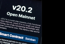 PI 网络允许使用 Rust 和 Wasm 编写智能合约，从而为 DeFi、NFT 和 DAO 敞开大门_派想网