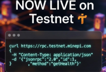 Pi Network测试网RPC服务器上线：开发者可直接接入区块链，生态进入实建阶段_派想网