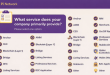 Pi Network下拉菜单曝光生态布局:Anchor、AMM、Bridge等功能意味着什么?_派想网