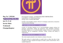 Pi Network 美国商标注册曝光：2018 年已开始商业使用，究竟释放了什么信号？_派想网