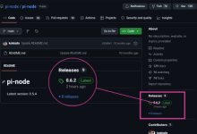 Pi Network Node v0.6.2 更新：Protocol 26 截止日出现新版本，Testnet 2 正迎来关键变化_派想网