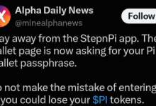 StepnPi 是骗局吗?Pi Network 用户警惕钱包密码短语诈骗_派想网