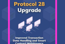 Pi Network Protocol 28进入Testnet:主网升级时间指向10月16日?_派想网