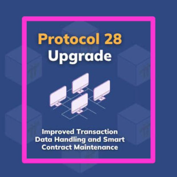 Pi Network Protocol 28进入Testnet:主网升级时间指向10月16日?