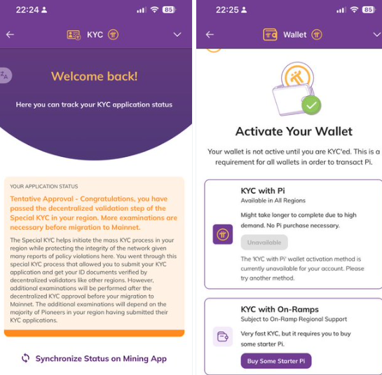 Pi Network KYC与钱包问题再引争议
