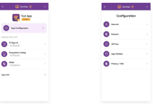 官方发布 Pi 更新:开发者门户界面、BlockExplorer 代币追踪、SoloHost AI 应用打包和 PiVerify_派想网